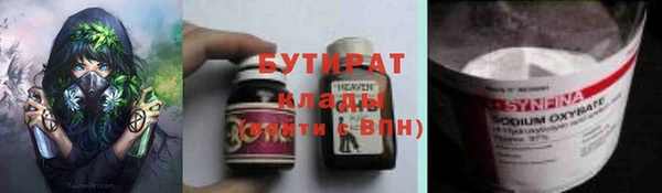 прущие грибы Каменногорск