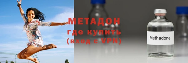 гидра Каменка