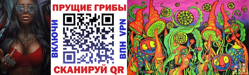 закладка  Евпатория  Псилоцибиновые грибы Cubensis 