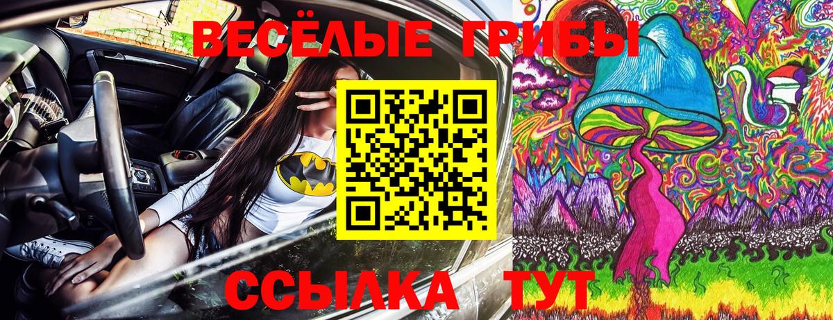 Галлюциногенные грибы MAGIC MUSHROOMS Евпатория