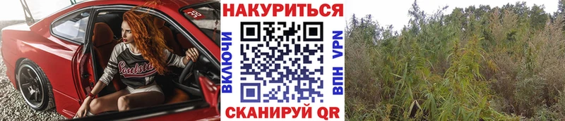 продажа наркотиков  Евпатория  Шишки марихуана Bruce Banner 